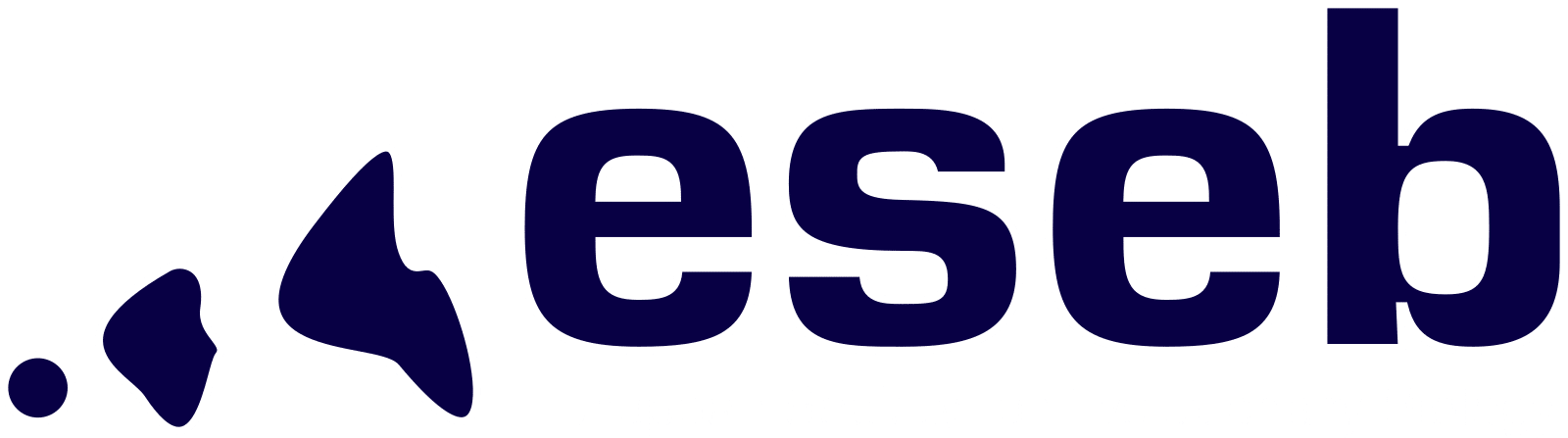 ESEB Logo w